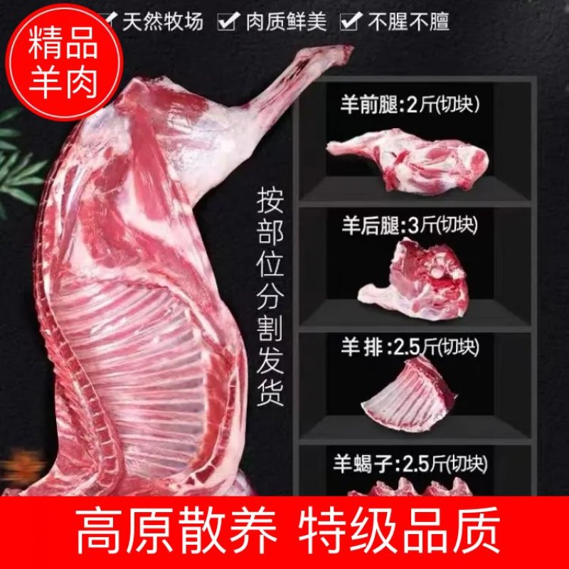 【产地直供】高原散养草膘羊肉白条羊；鲜羊肉，品质保障
