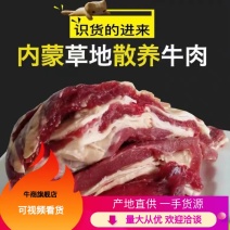【推荐】甘肃高原草膘牛肉；鲜牛肉现杀新鲜价格好