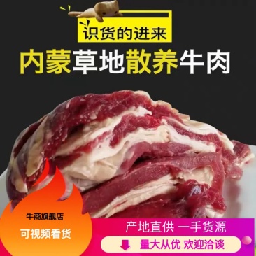 【推荐】甘肃高原草膘牛肉；鲜牛肉现杀新鲜价格好