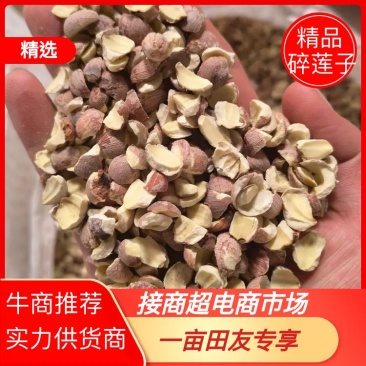 湖南莲子泰莲碎莲半莲莲粉原料酿酒原料厂家批发