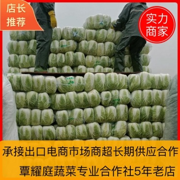湖北咸宁黄心大白菜大量上市商超市场电商长期供应要的联系