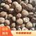 河南808鲜香菇4.5以上白加花中菇花菇货源充足品质保证
