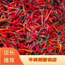 海南东方正宗新鲜小米辣椒产地发货一手货源
