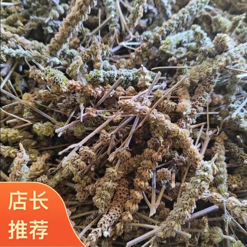 荆芥咀河北地产荆芥咀荆芥侧穗全荆芥都有需要的请联系我