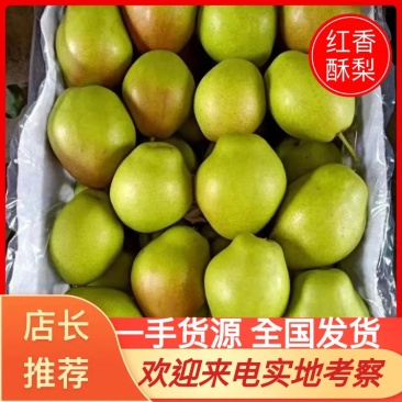 陕西精品红香酥梨，口感脆甜，皮薄肉多！质量保证！
