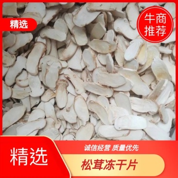 高品质松茸冻干片边带中，量大从优，产地直发