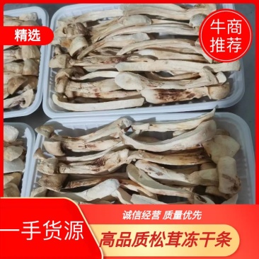 高品质松茸冻干条盒装，产地直发，量大从优