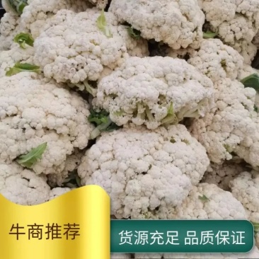 精品有机菜花，产地发货，超市，平台，市场档口，脱水厂