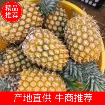 菠萝菠萝批发广东徐闻菠萝产地直供菠萝批发价菠萝代办菠萝。