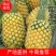 菠萝菠萝价格广东菠萝代办7年老店农户一手货源菠萝产地直供
