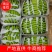 【精品批发】香蕉，苹果香蕉，粉蕉广东巴西香蕉真实报价