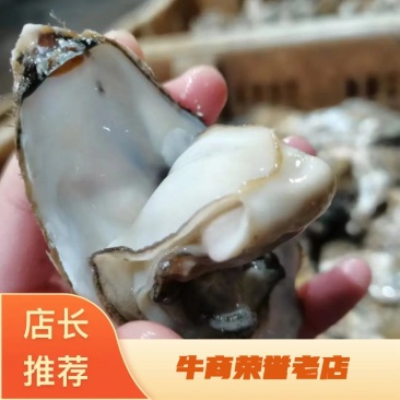 生蚝产地发货，价格美丽，欢迎合作