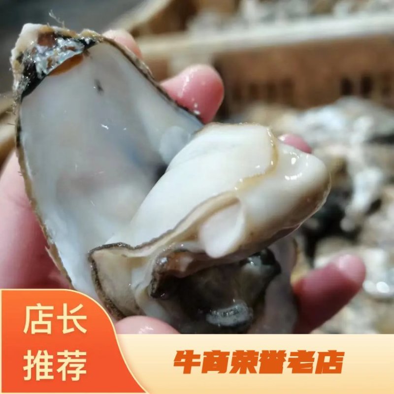 生蚝产地发货，价格美丽，欢迎合作