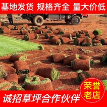 【诚信老店】精品剪顾颖草坪包成活包指导优质售后绿化庭院球场