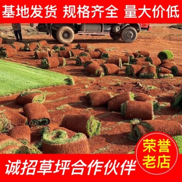 【诚信老店】精品剪顾颖草坪包成活包指导优质售后绿化庭院球场