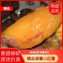 烟薯25红薯蜜薯商超电商烤块
