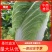 白菜，大白菜，基地直发，量大从优，一手货源，欢迎采购