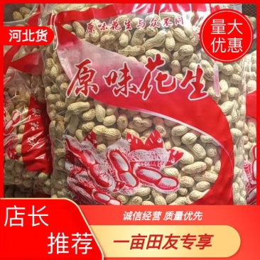 2025新季熟花生原味炒花生厂家发货诚信经营