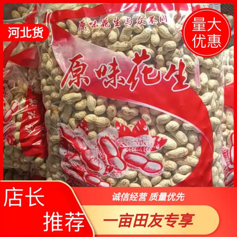 2025新季熟花生原味炒花生厂家发货诚信经营
