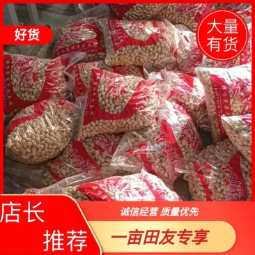 2025新花生年新花生预售原味炒花生上市厂家发货量大从优