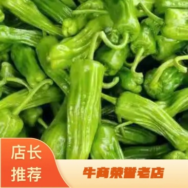 广东薄皮青椒，产地直销，皮质绿油油的，口感清脆，微辣