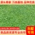 【推荐】精品马蹄金草坪免修剪草坪四私家花园高端小区别墅专用