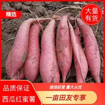云南红薯，西瓜红红薯，产地发货一手货源品质保证量大