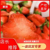 【精品】奶油草莓专业代发电商商超品控严格好评率高!