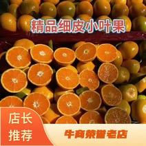 产地各类橙子，蜜橘大量上市，产地直供对接全国各地市场商