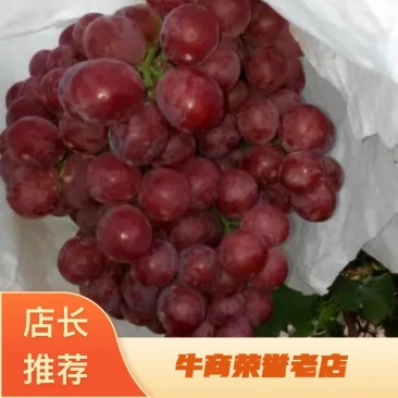 【精品美国红提】口感纯甜，水分足个头大，自己产地价格实惠