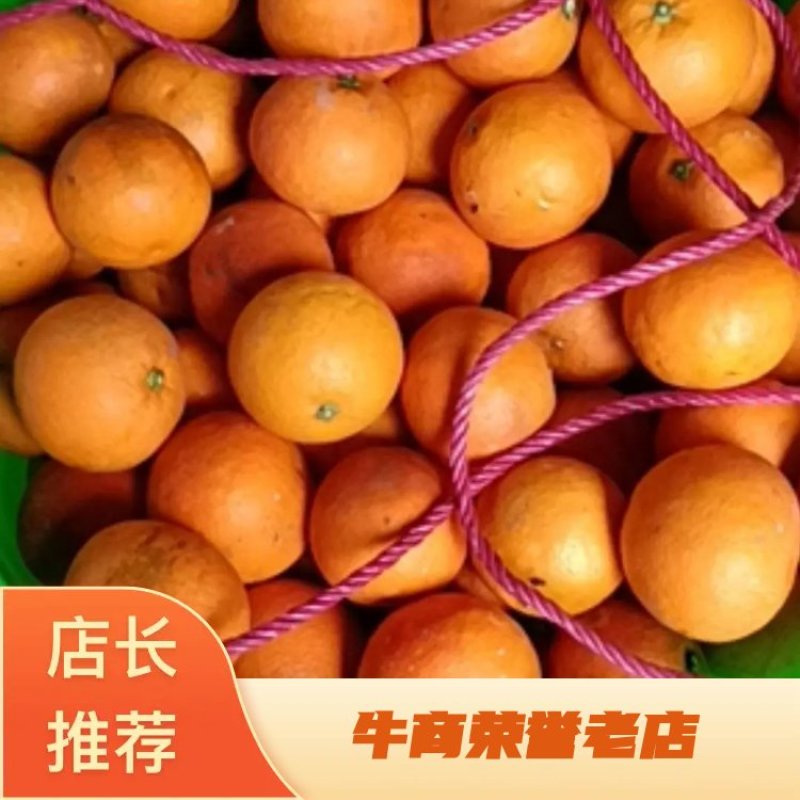 重庆血橙，血橙中的贵族，持续发货中欢迎咨询下单