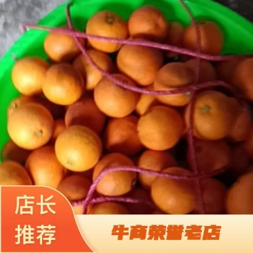 重庆血橙，血橙中的贵族，持续发货中欢迎咨询下单