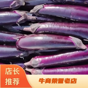 【牛商推荐】精品烤茄，基地直供，对接各级批发商，欢迎采购