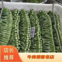 【牛商推荐】优质芥蓝，大量上市中，质量好，价格，对接全国