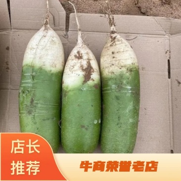 【热卖批发】水果萝卜大量上市，保质保量包客商满意可代发