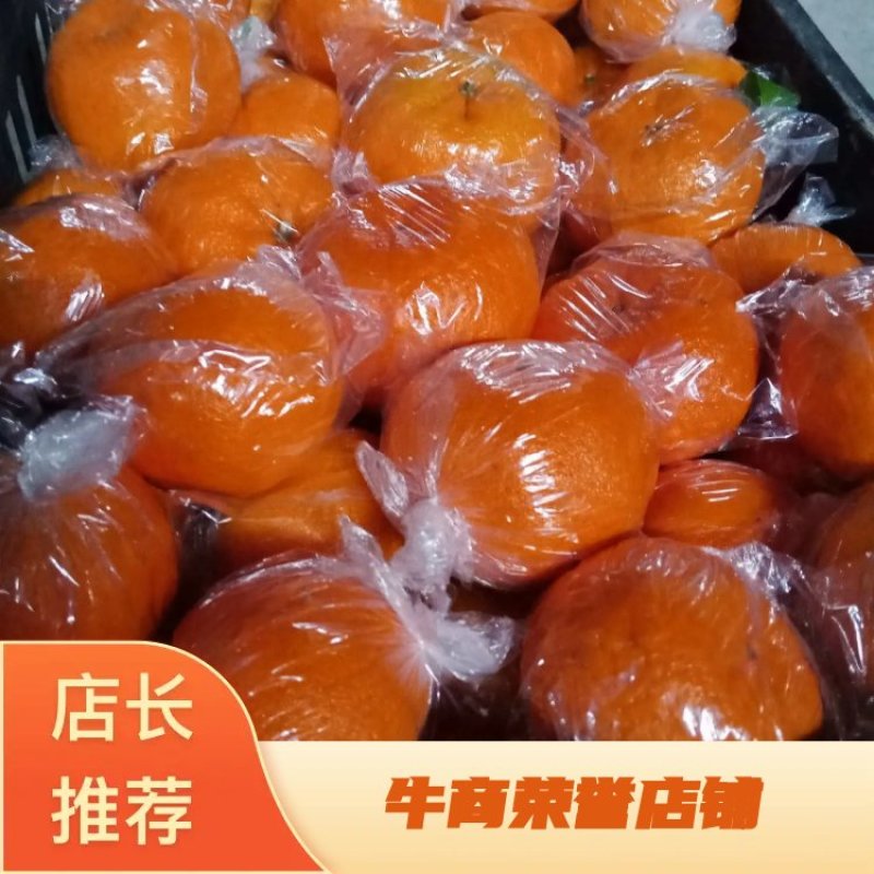 湖南湘西保靖椪柑颜色红，个头大，大量上市走货中