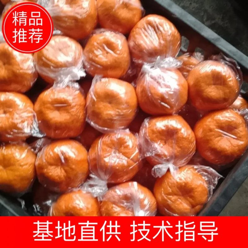 湖南湘西优质椪柑~货源充足大量上市颜色漂亮口感味甜