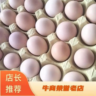 正宗散养土鸡蛋粉壳绿壳品质保证鸡场直发