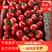 齐河县硬粉西红柿大量上市支持全国代发接商超市场电商每天供
