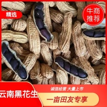 精品云南黑花生基地直供一手货源品质保证诚信经营欢迎采购