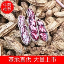 精品云南七彩花生新货大量上市价格实惠品质保证