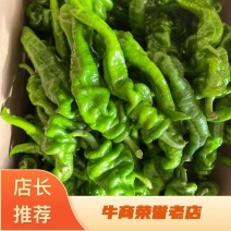 【推荐】大量螺丝椒上市精品货价格合适货源稳定产地直发