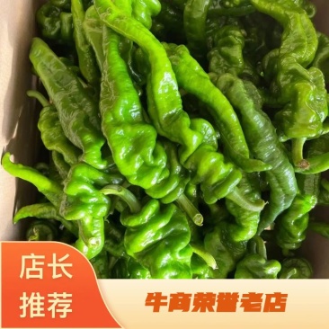 【推荐】大量螺丝椒上市精品货价格合适货源稳定产地直发