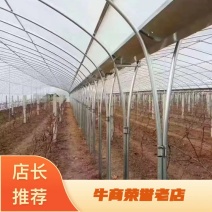 大棚管发货大棚一站式服务规格齐全可定制，欢迎咨询下单