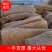 精品萝卜丝萝卜条产地直发量大质优欢迎考察