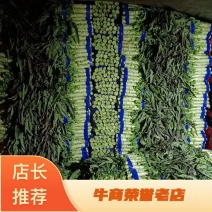 【精品】莴苣大量上市，需要的老板可咨询，量大从优！