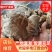 【随州干香菇/冬菇】品种齐全剪脚厚肉农家特产