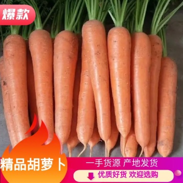 开封胡萝卜，大吨位供应，专业团队，电商超市市场批发