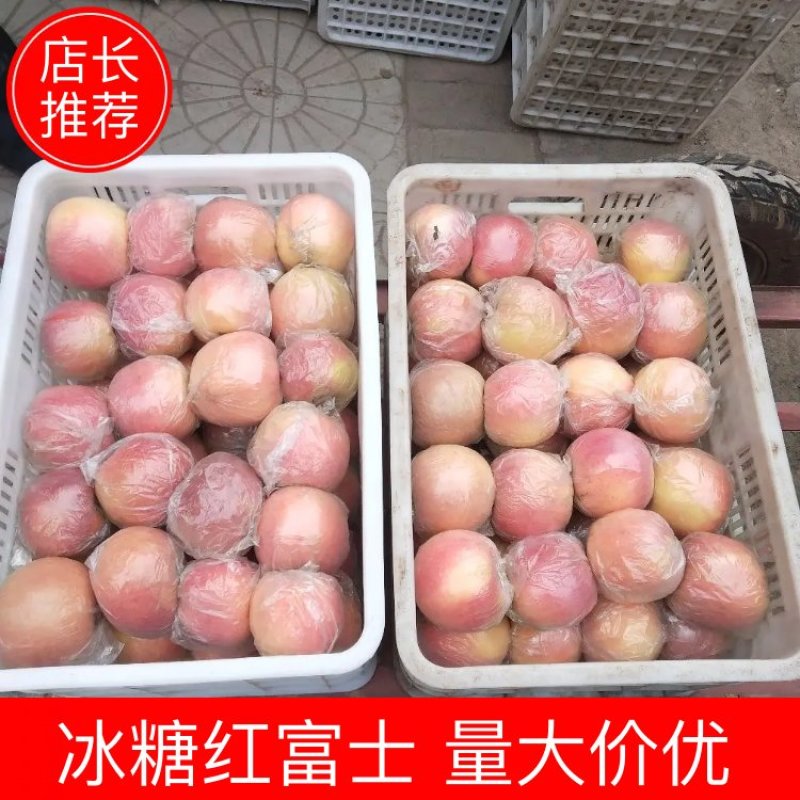红富士苹果价格便宜口感脆甜多汁需要的抢购