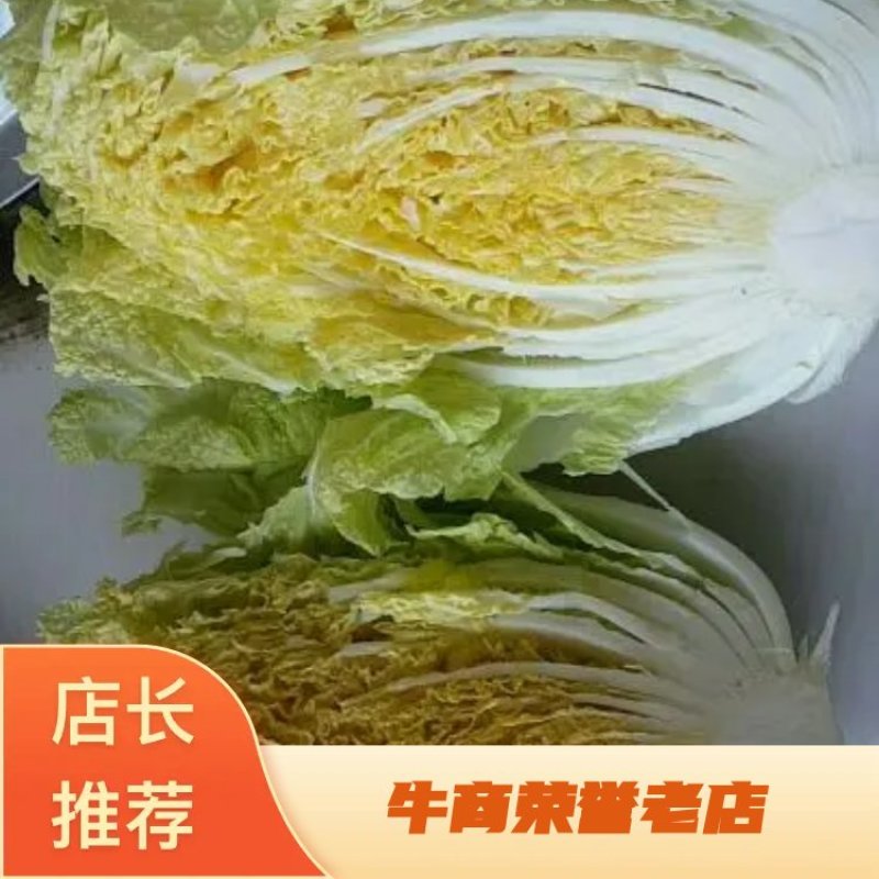 黄心菜白菜4~6斤净菜诚信蔬菜代办代发